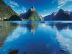 Self drive holiday in New Zealand, whale and dolphin watching