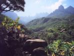 Yemen holiday in Socotra Island