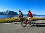 Lofoten Islands whale watching & fishing holiday, Norway