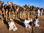 Luxury culture holiday in Oman