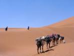 Sahara Desert camel trek with the Berber, Morocco