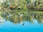 Kakadu to Uluru outback tour, Australia