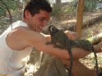 Primate rescue volunteer holiday in South Africa