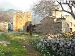 Horse riding and yoga holiday in Greece