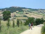 Guided walking holiday in rural Tuscany, Italy