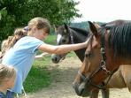 Czech Republic horse riding holiday