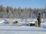 Husky safari & snowshoeing holiday in Finland