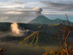 Indonesia holidays, tailor made, Orangutans & Komodo dragons