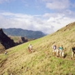 Madeira walking holidays, Portugal