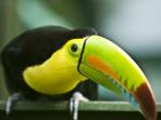 Panama trekking holiday, Darien Gap