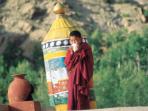 Trekking holiday in Ladakh, The Markha Valley trek