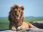 Cape Town to Victoria Falls tours, South Africa