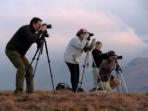 Photography and conservation project in South Africa