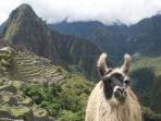 Tailormade holiday in Peru