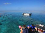 Luxury cruise in Western Australia, snorkel & dive