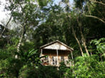 Dominica luxury eco-resort