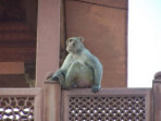 Holiday in India, Himalayan foothills