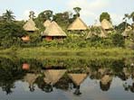 Ecuador ecolodge, Napo Wildlife Center