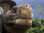 Galapagos family holiday