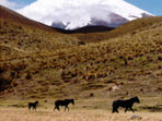 Ecuador holiday, community based tourism