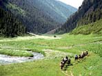 Riding holiday in Kyrgyzstan