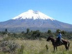 Horse riding in Ecuador