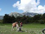 Mercantour walking holiday in France