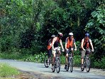 Kerala & Tamil Nadu mountain biking holidays, Western Ghats