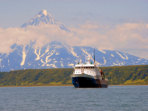 Kamchatka wildlife and bird watching cruise, Russia