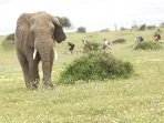 South Africa and Botswana mountain biking tour