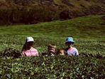 Sri Lanka family tour