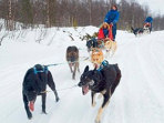 Winter activity holiday in Norway