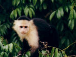 Panama tailor made holiday