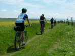 South Downs Way mountain bike holiday, England 