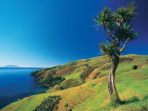 New Zealand self drive and hiking tour