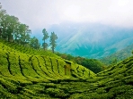 Kerala cultural holiday, tailor made