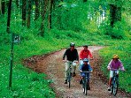 New Forest self guided cycling holidays, England