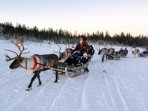Northern Lights holiday in Lapland, aurora alarm