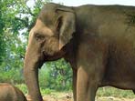 Northern Thailand holiday