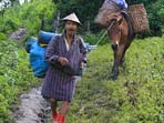Wildlife trekking holiday in Bhutan