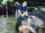 Volunteer at an elephant sanctuary in Sri Lanka