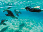 Eyre Peninsula tours in South Australia