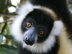 Madagascar family adventure holiday