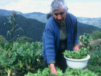 Rainforest conservation volunteering in Ecuador