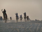 Mali cultural holiday