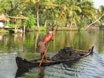 Kerala and Sri Lanka holiday