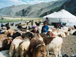Kyrgyzstan and Uzbekistan holiday