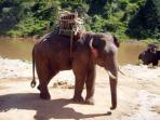 Northern Thailand tour