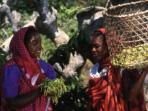 Small group holidays to Madagascar