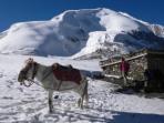 Annapurna Circuit trek in Nepal